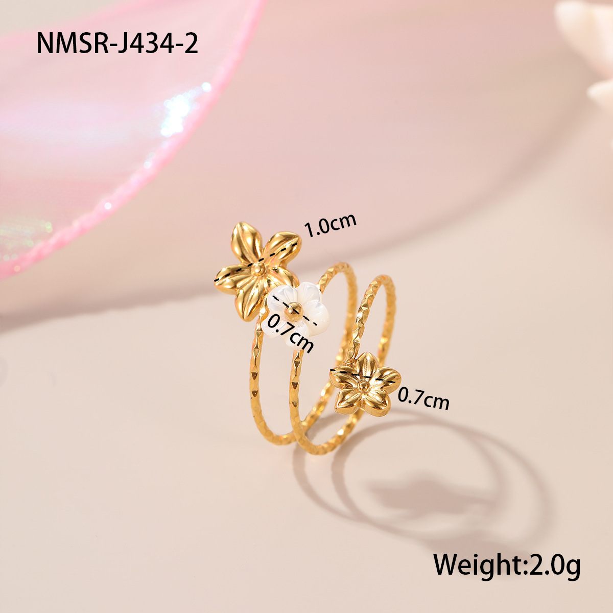 NMSR-J434-2