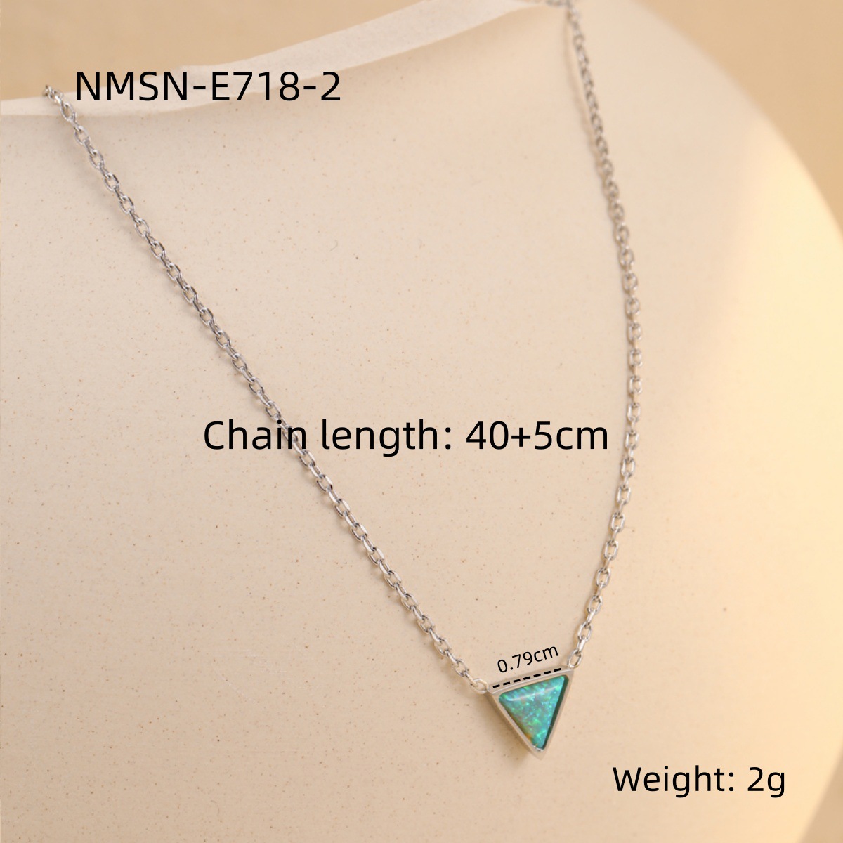NMSN-E718-2
