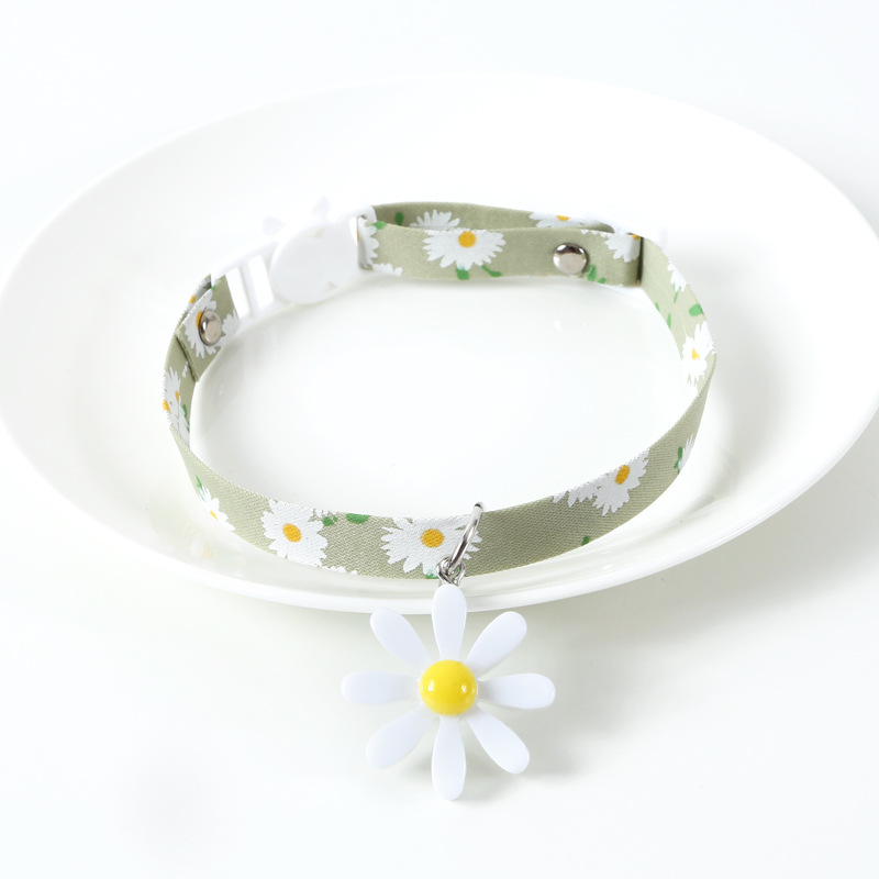 Little Green Daisy