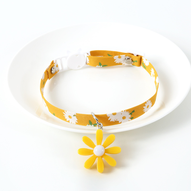 Yellow Daisy