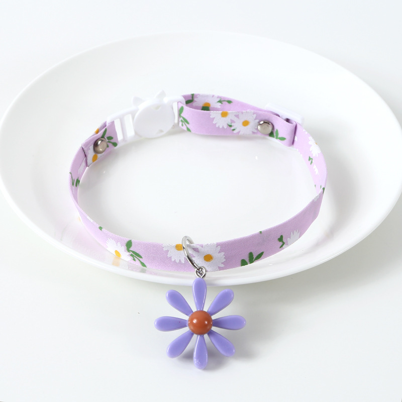 Purple Daisy