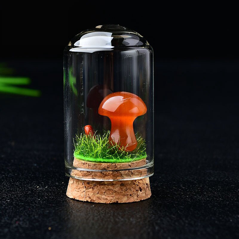 Red agate mushroom with bottle