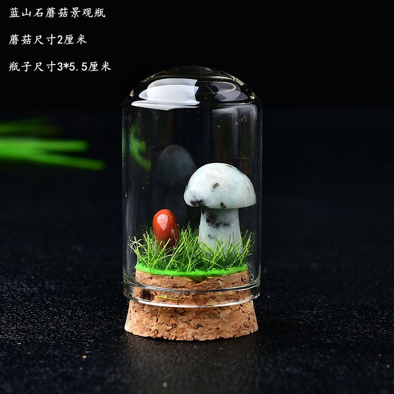 Blue mountain stone mushroom with bottle