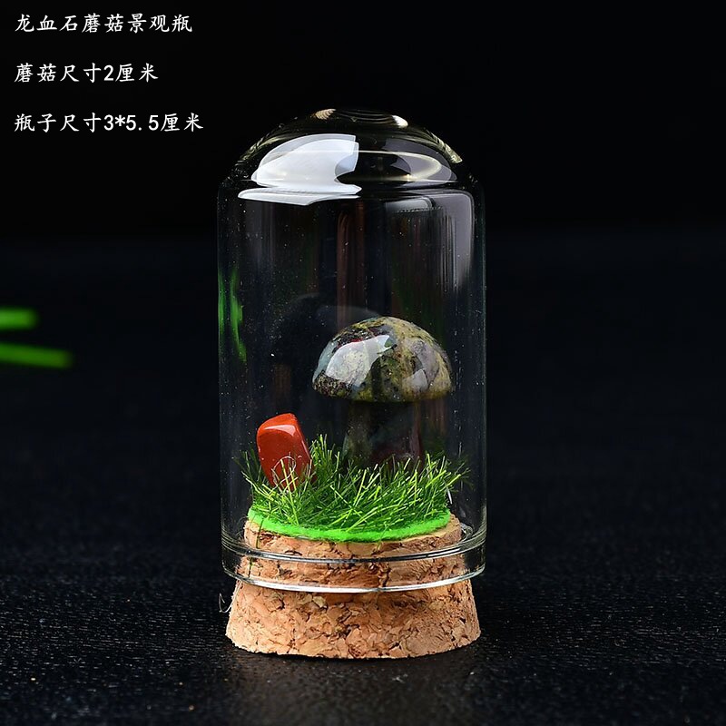 Dragon bloodstone mushroom with bottle