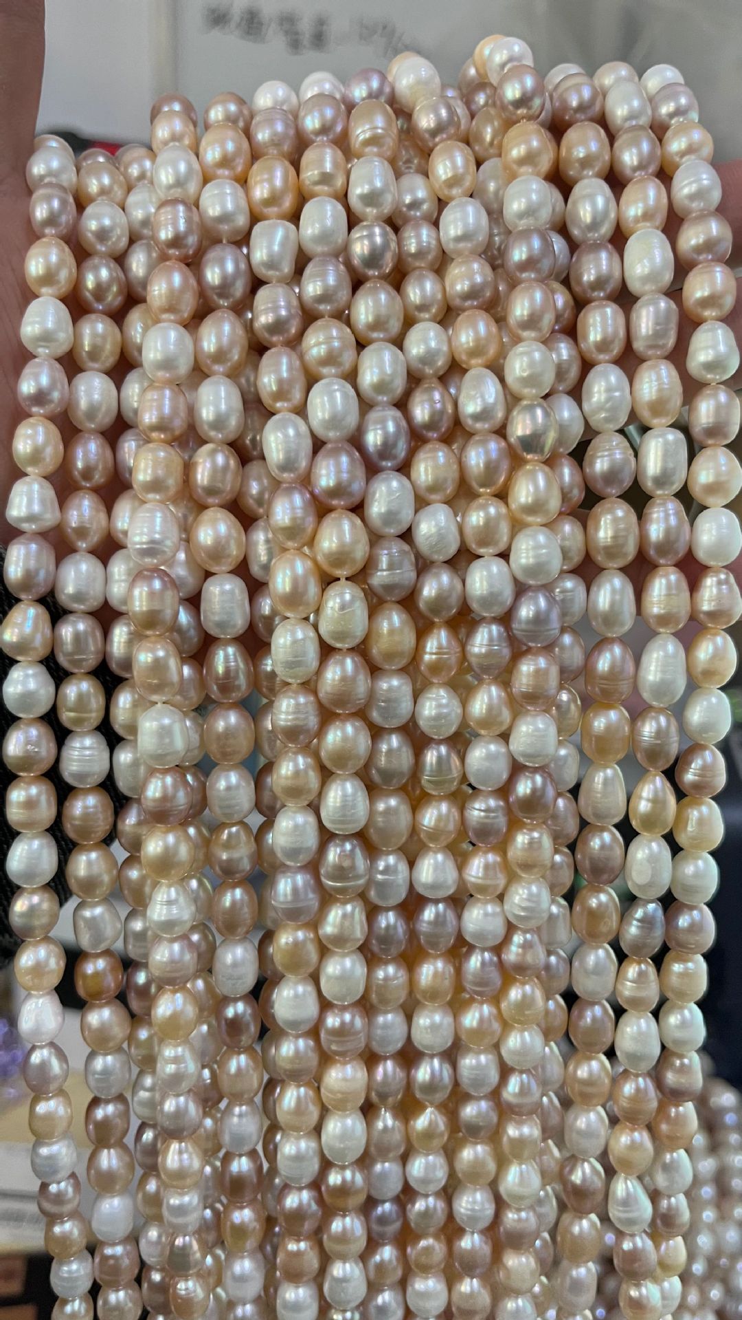 White, pink and purple mixed color (real shot)