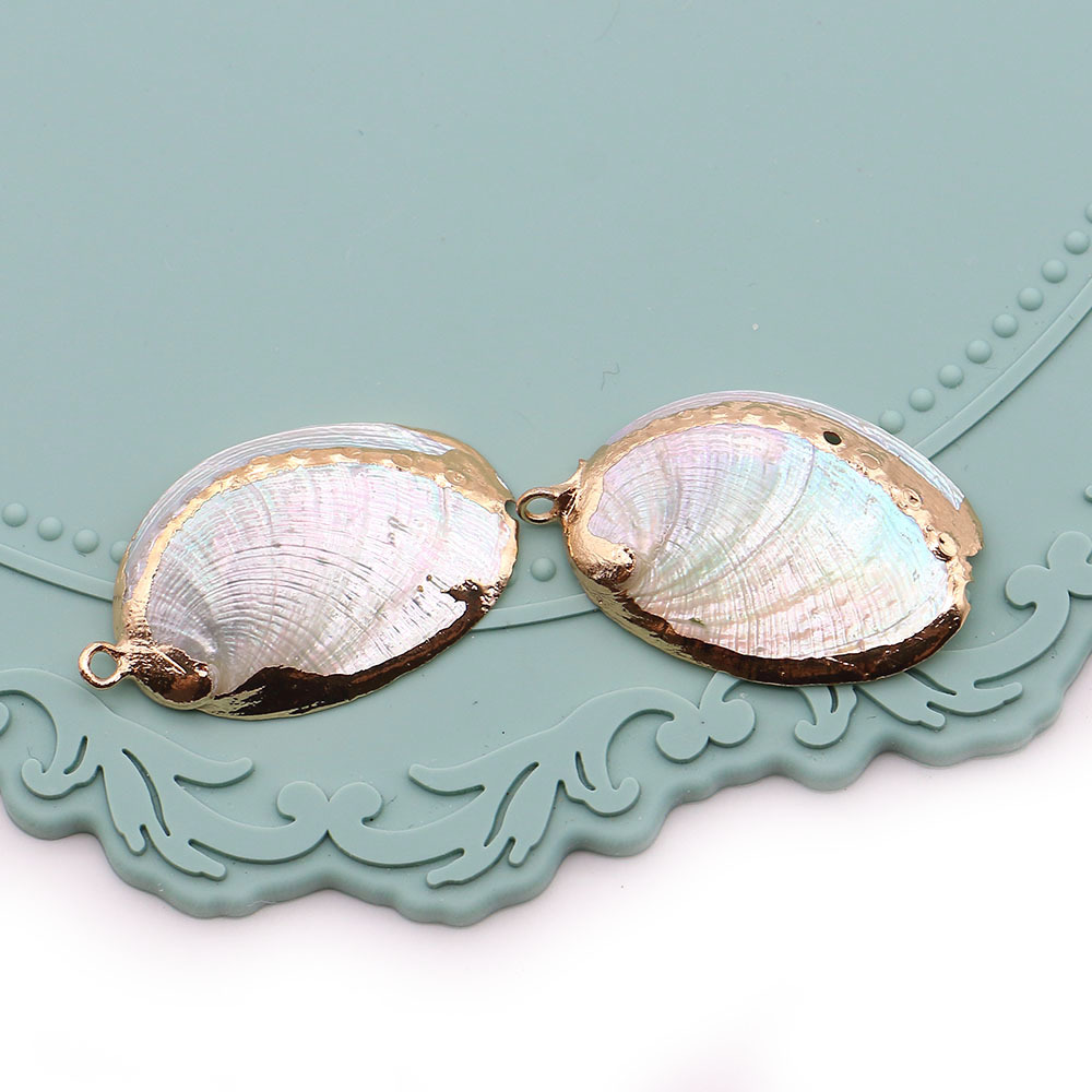 White abalone shells