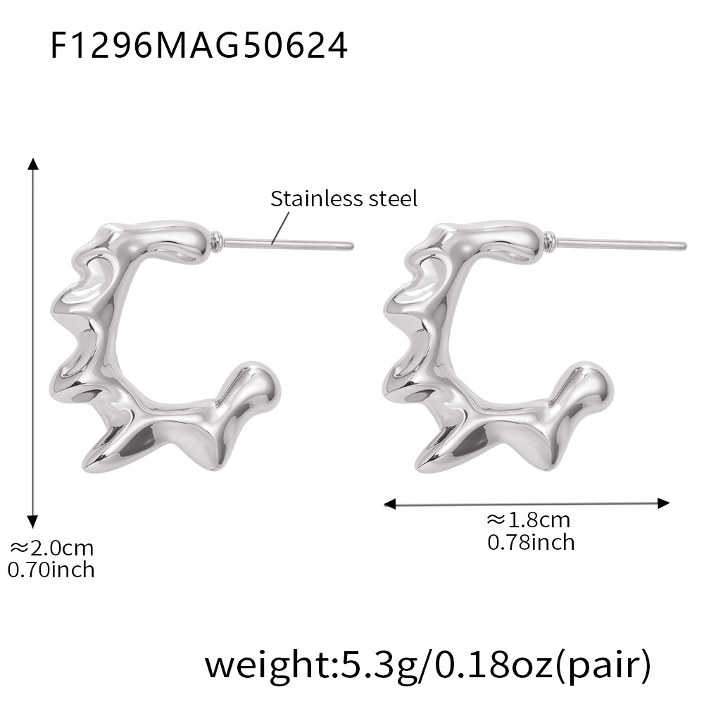 F1296-steel color earrings