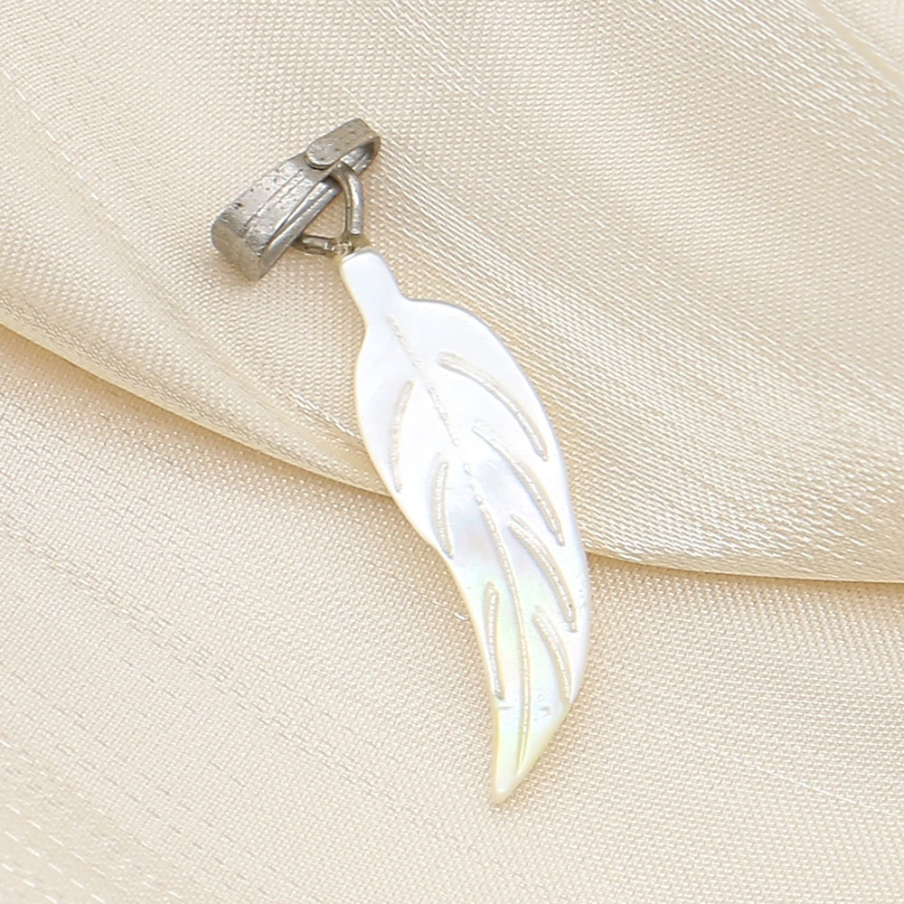 White Butterfly shell