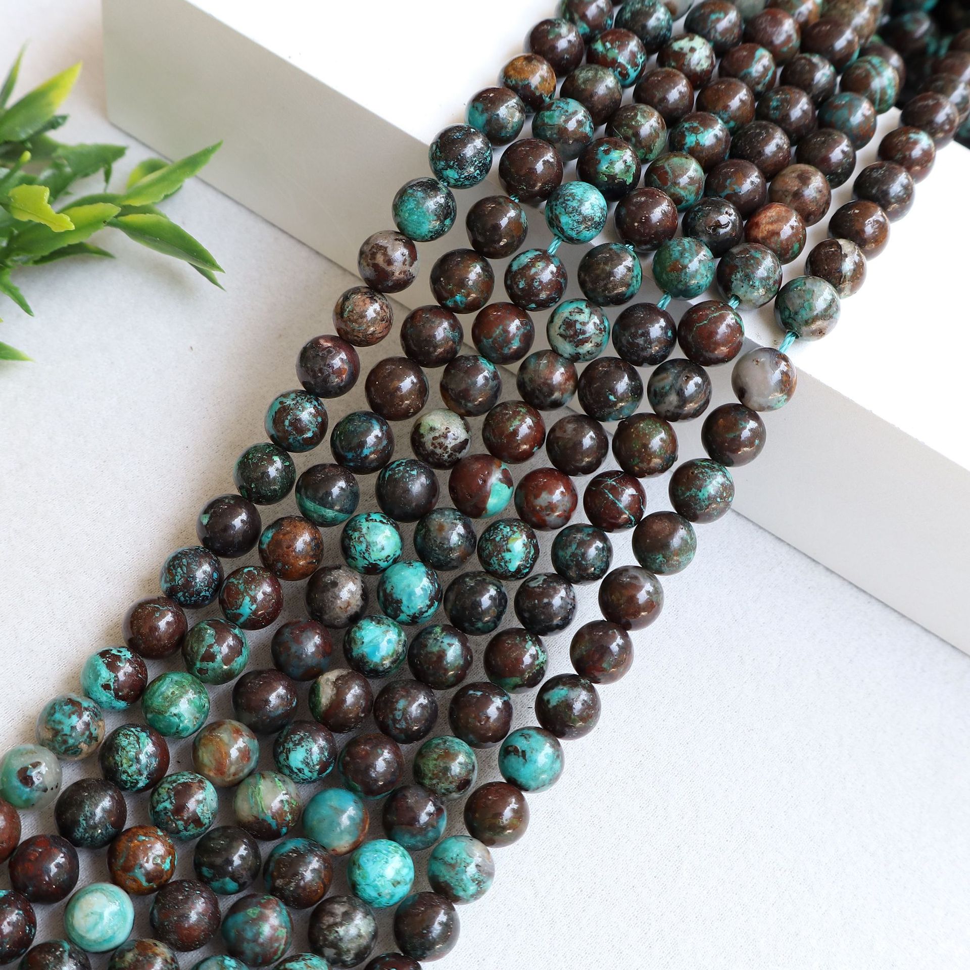 Peruvian phoenix pine