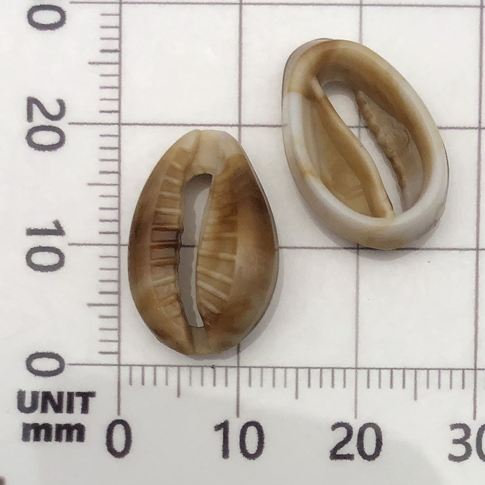 1 beige (acrylic conch) 13*18mm-0.6g-17277
