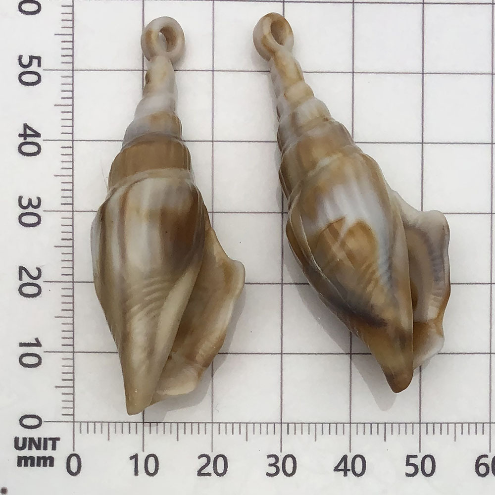 1 beige (acrylic conch) 21*57mm-5.3g-17293