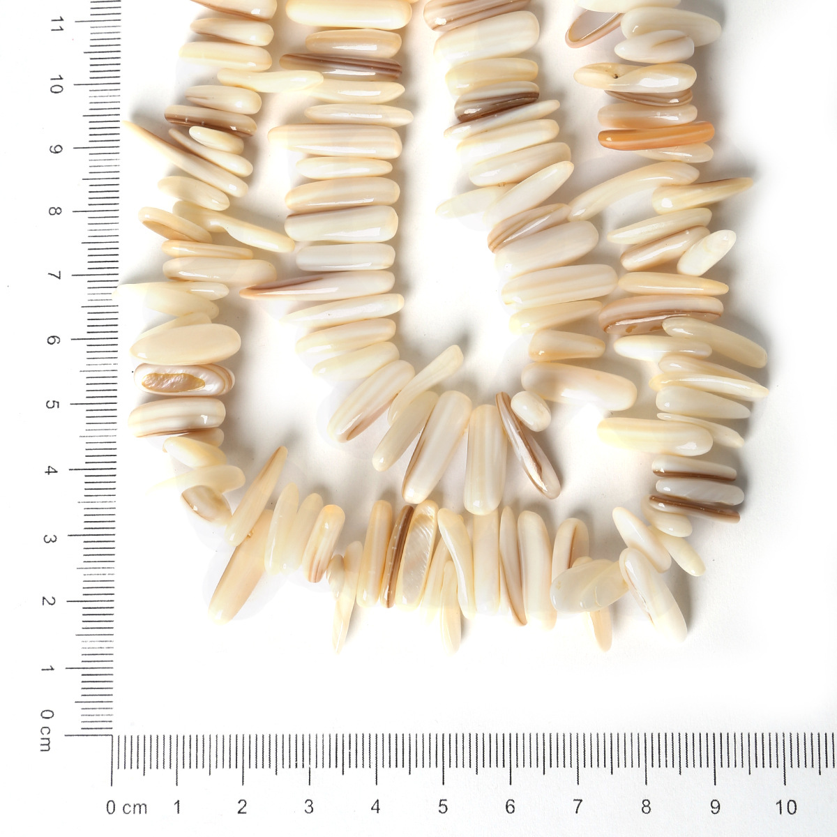 Natural White Shell