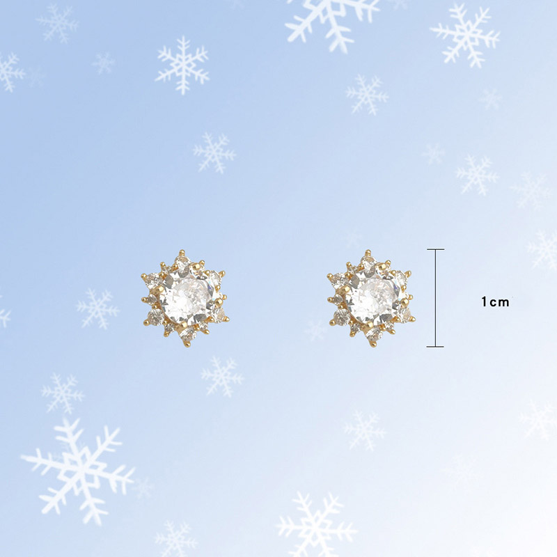 [the ward of frost snow] silver needle