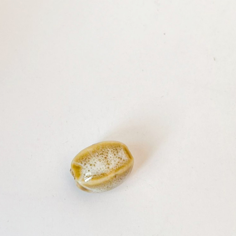 Flower glaze coffee white