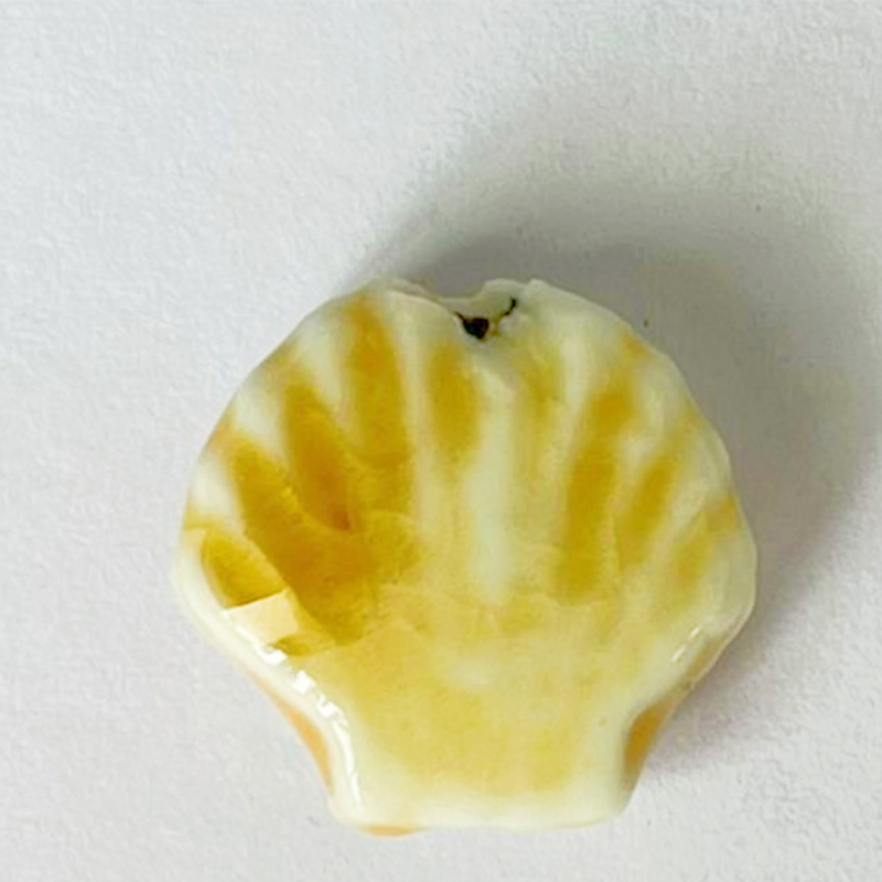 Seashell 14x6mm