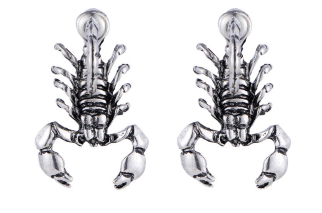 Ancient Silver Scorpion