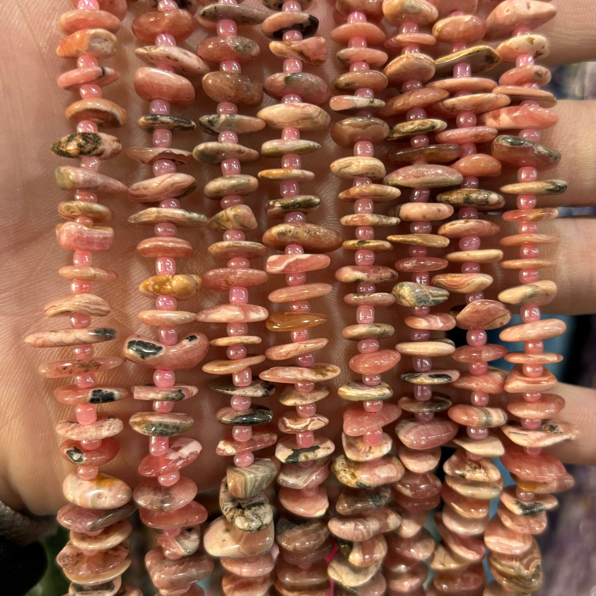 Argentinian red stripe