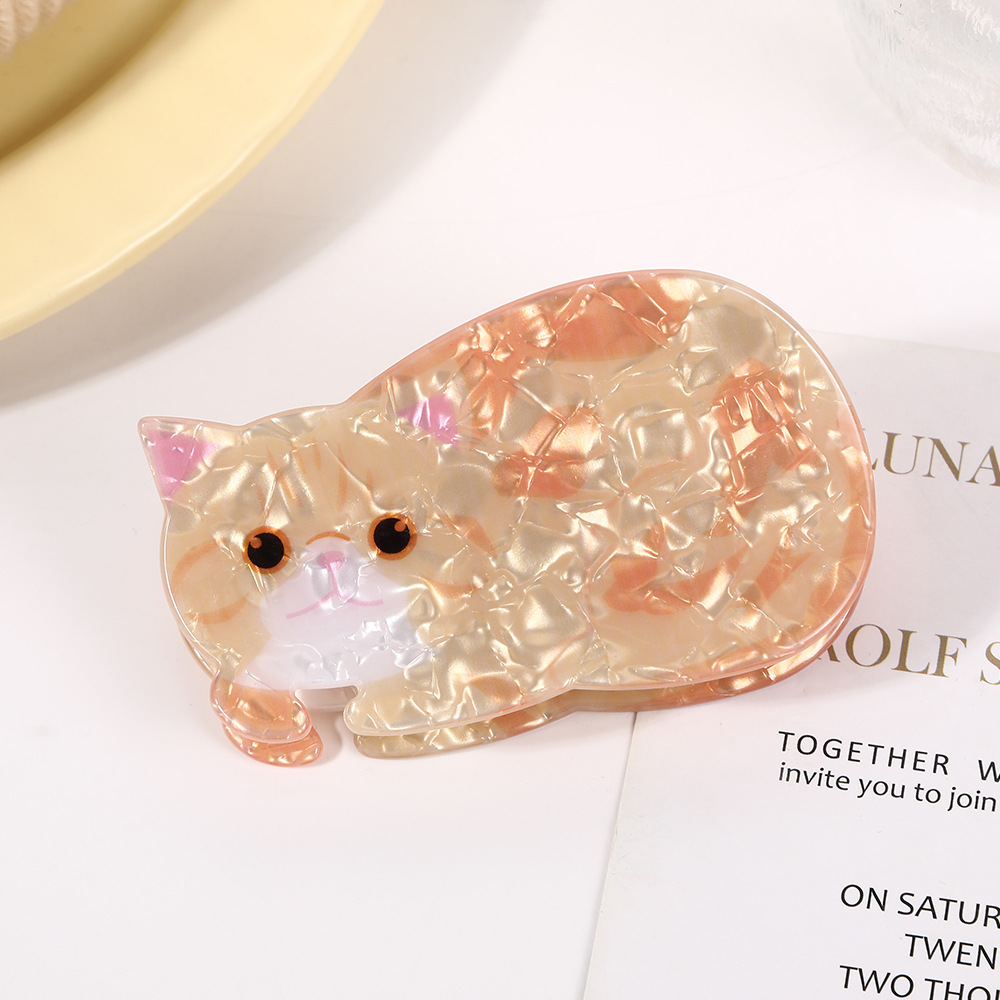 85mm Small orange cat