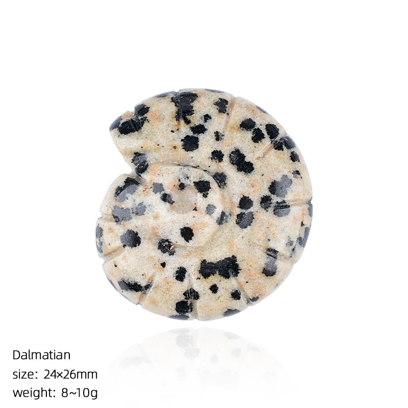 Spotted stone carved conch