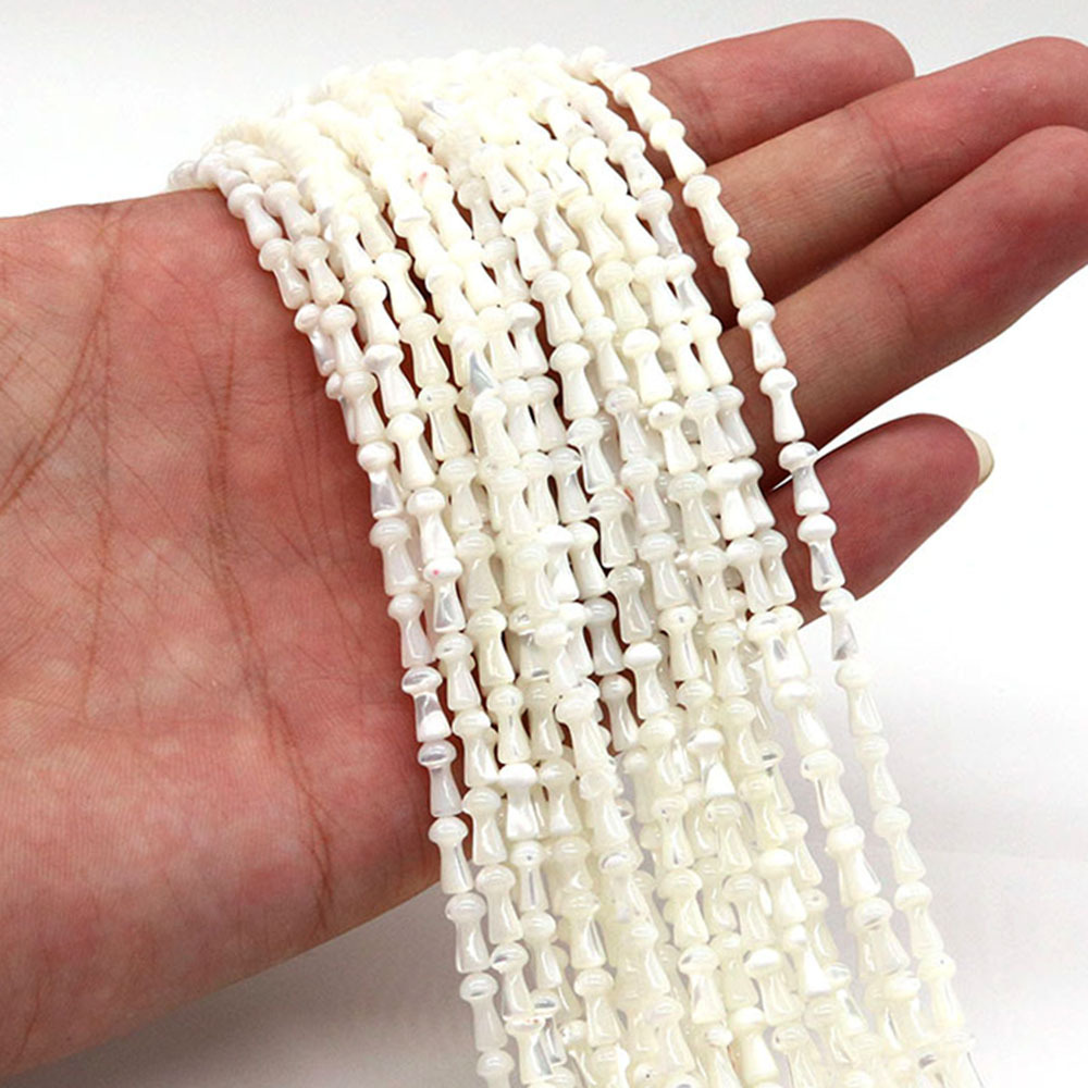 White shell