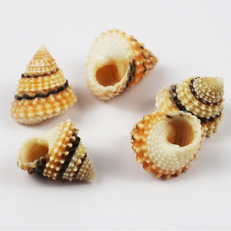 1.5- 2.5cm one golden pagoda jade corn snail