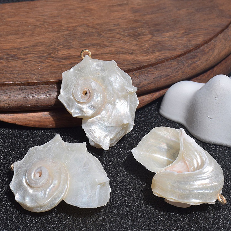 36x27mm(silver-mouthed round thorn snail)