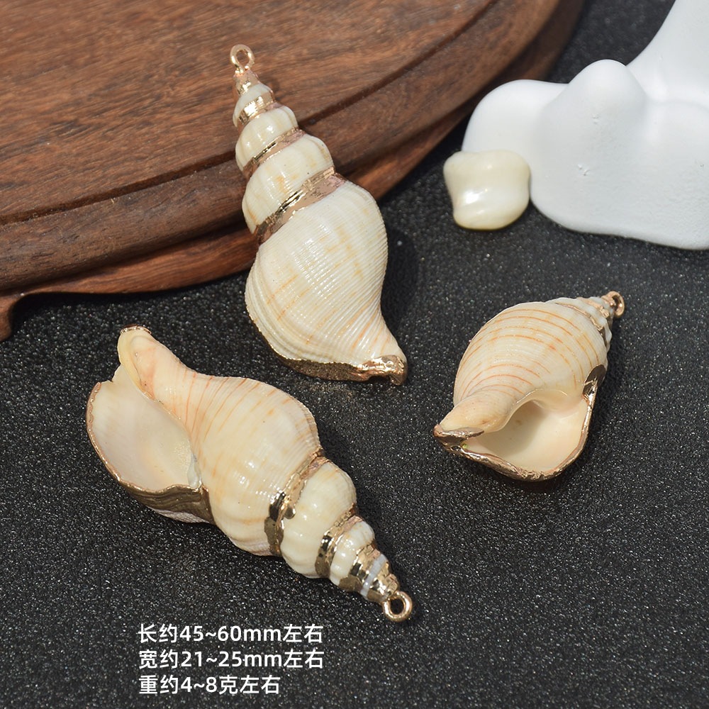 Dz176 (small conch)