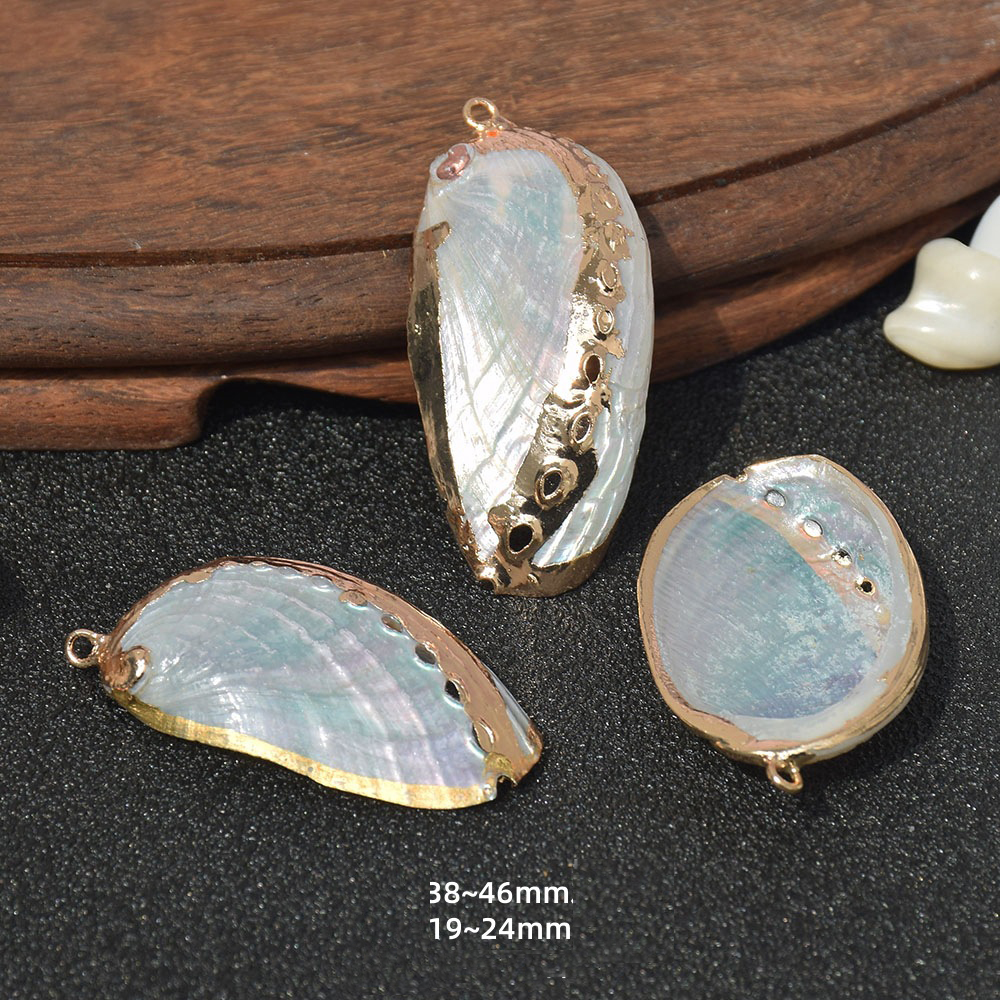 Dz176 (peeled abalone shell)