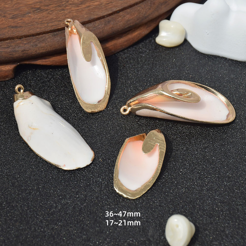 Dz176 (peacock shell)