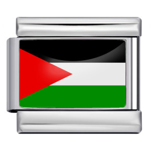 Icy000-pse (palestine)