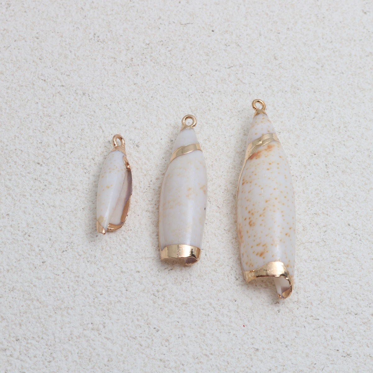 Peacock shell 34-43mm