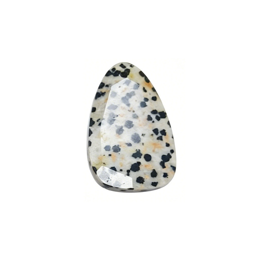 dalmatian