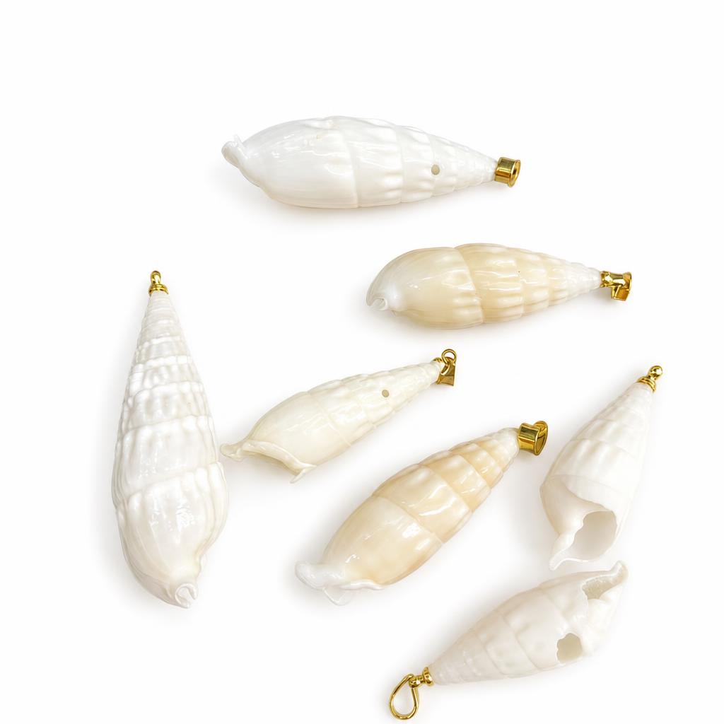 Bullet snail-gold buckle