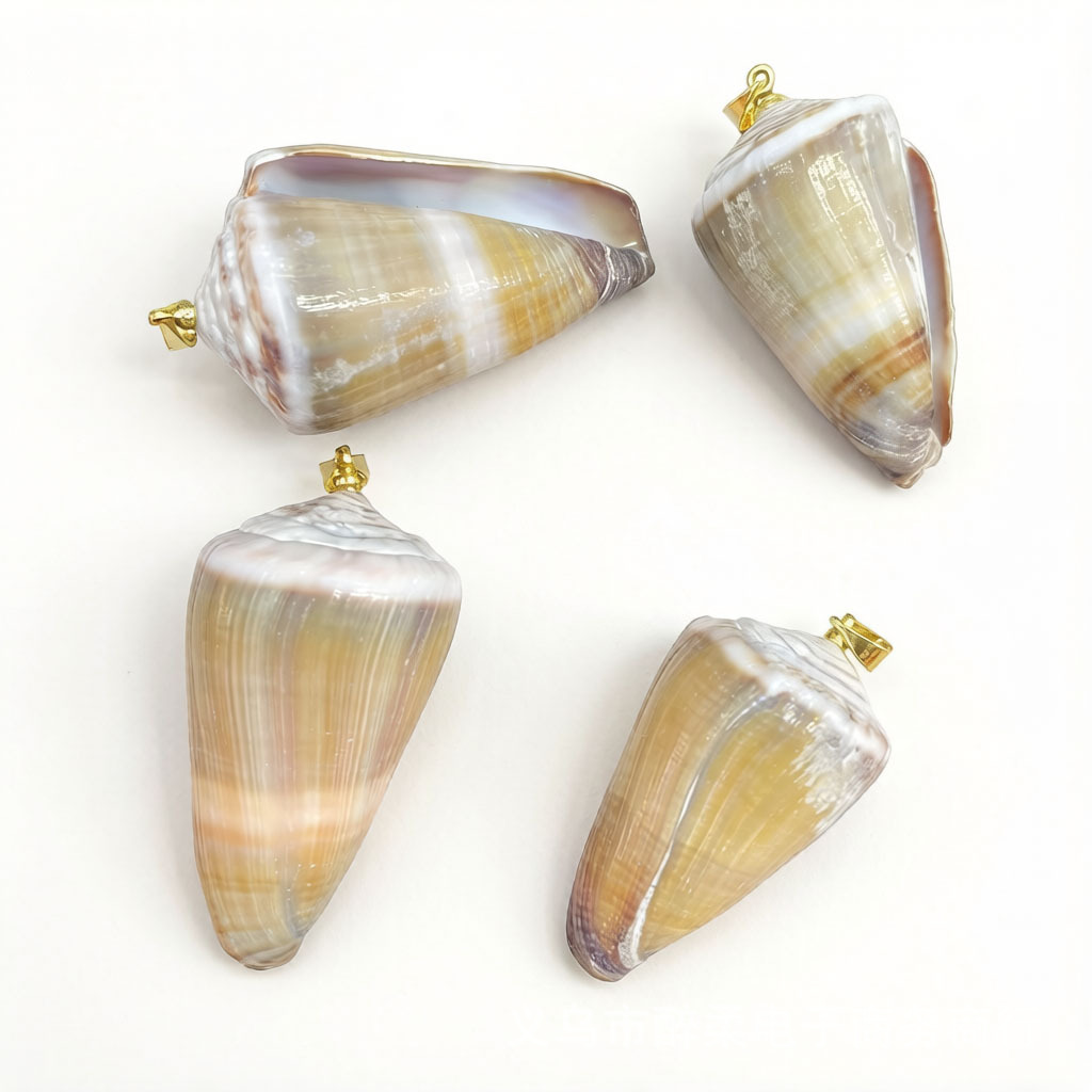 Conch-golden buckle
