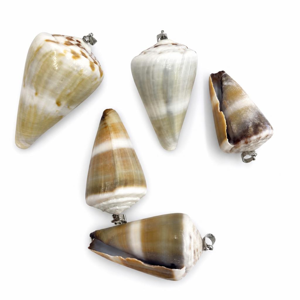 Conus-silver buckle