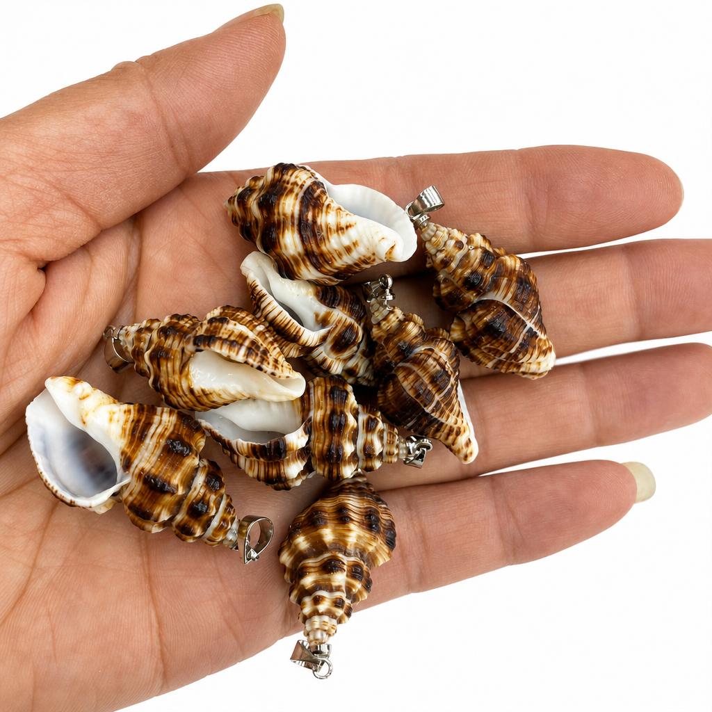 Black spicy snail-silver buckle