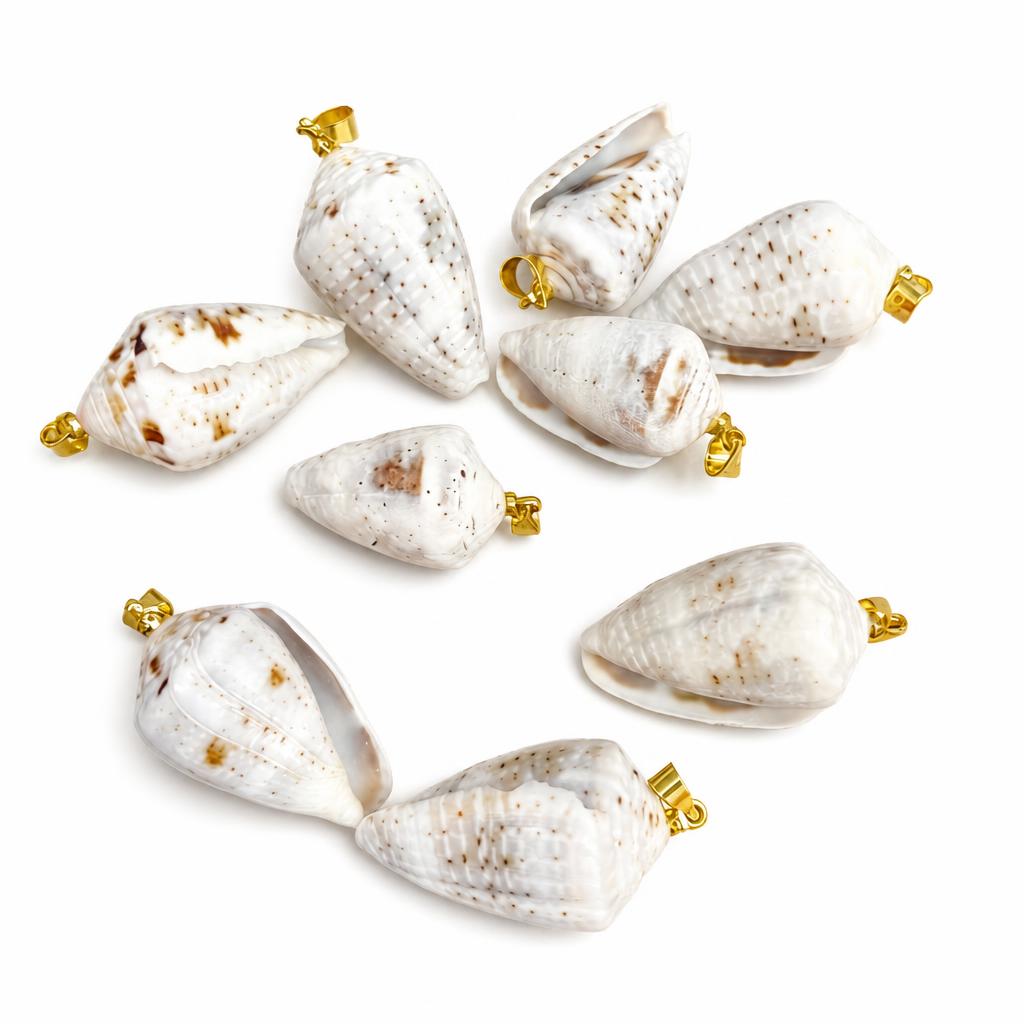 Chicken heart conch-golden buckle