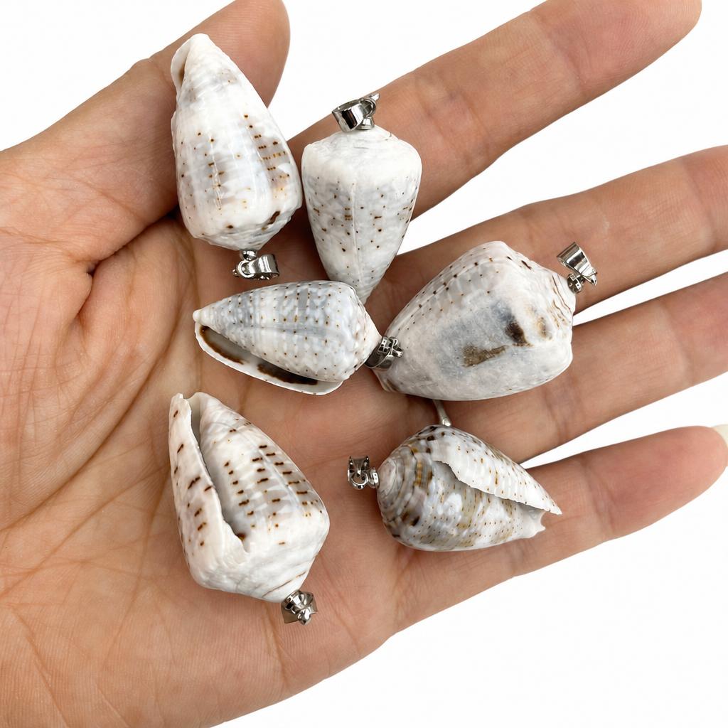 Chicken heart conch-silver buckle
