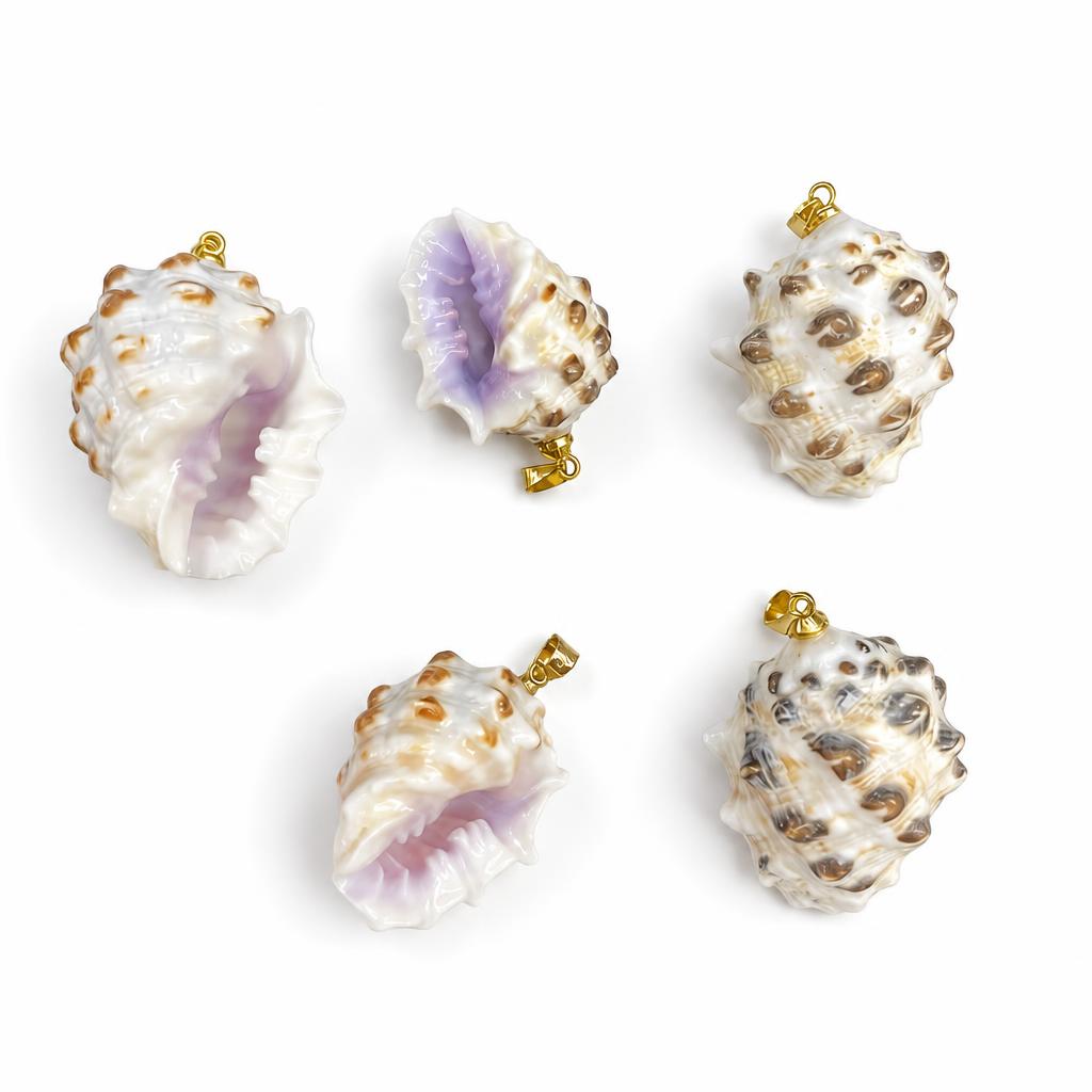 Purple-mouthed fist snail-golden buckle