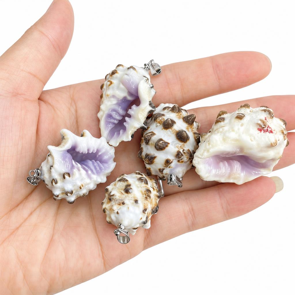 Purple-mouthed conch-silver buckle