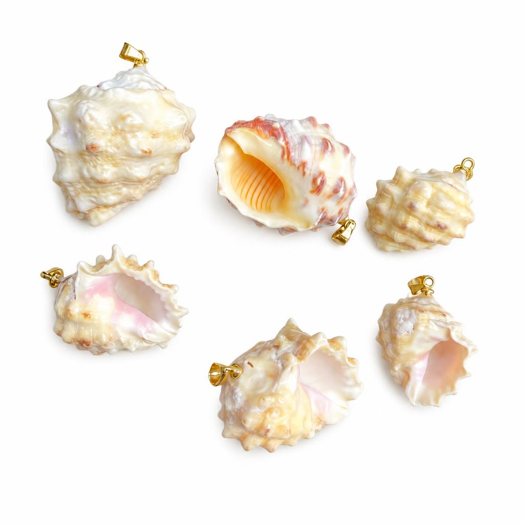 Purple-mouthed snail-golden buckle