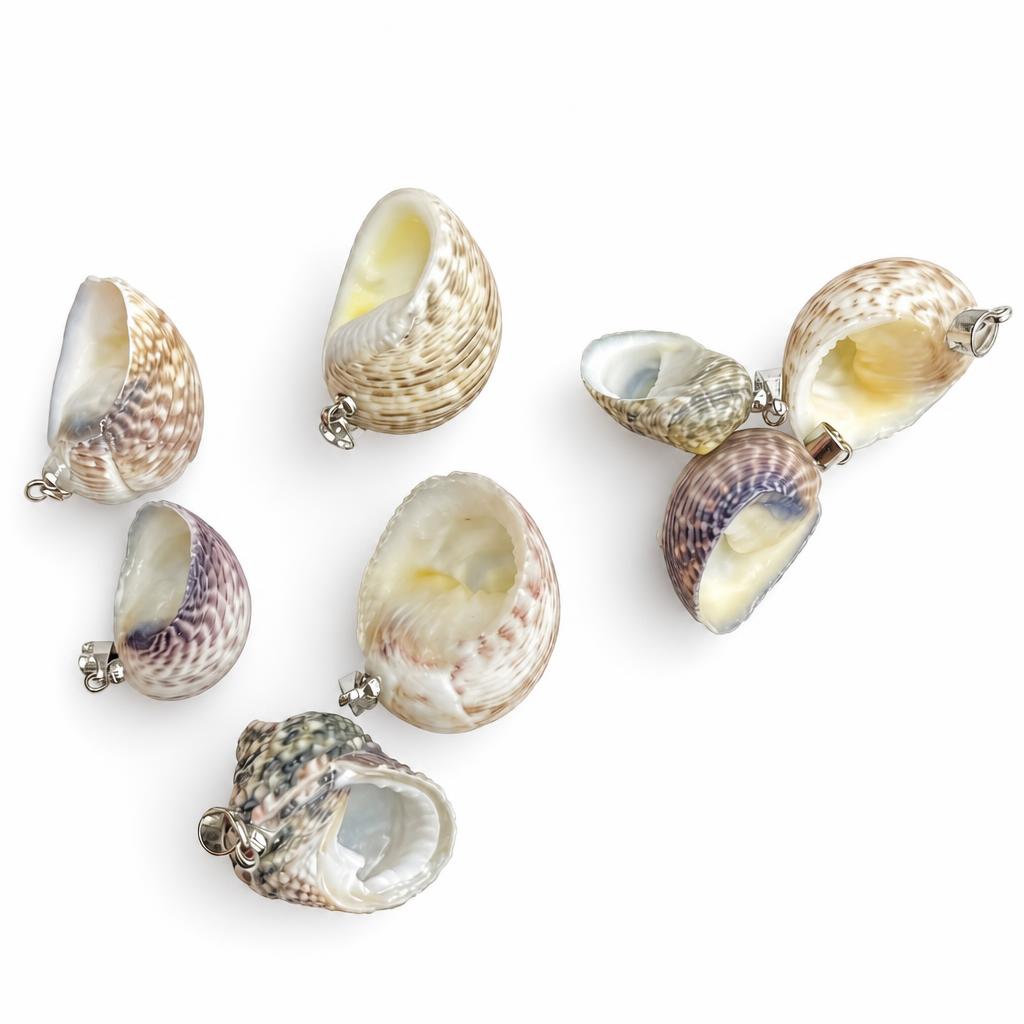 Snail conch-silver buckle