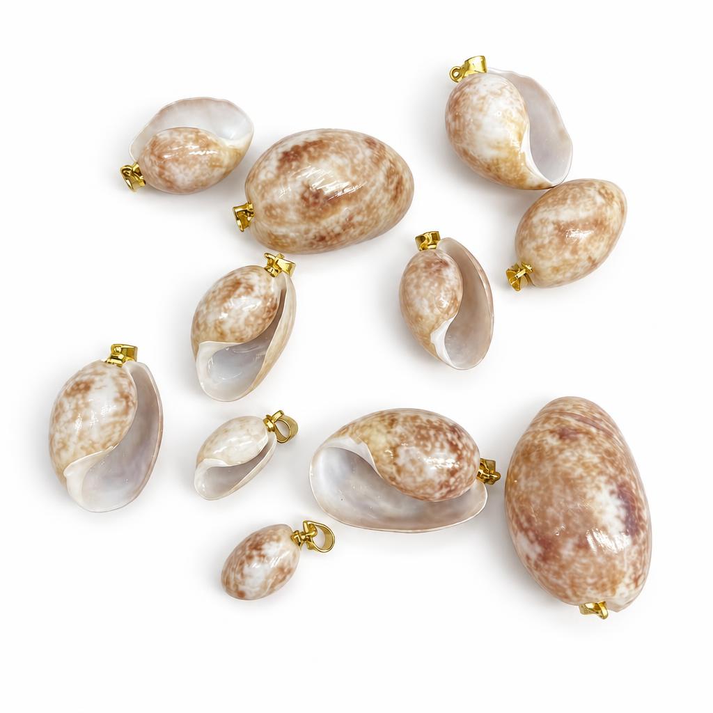 Belly snail-gold buckle