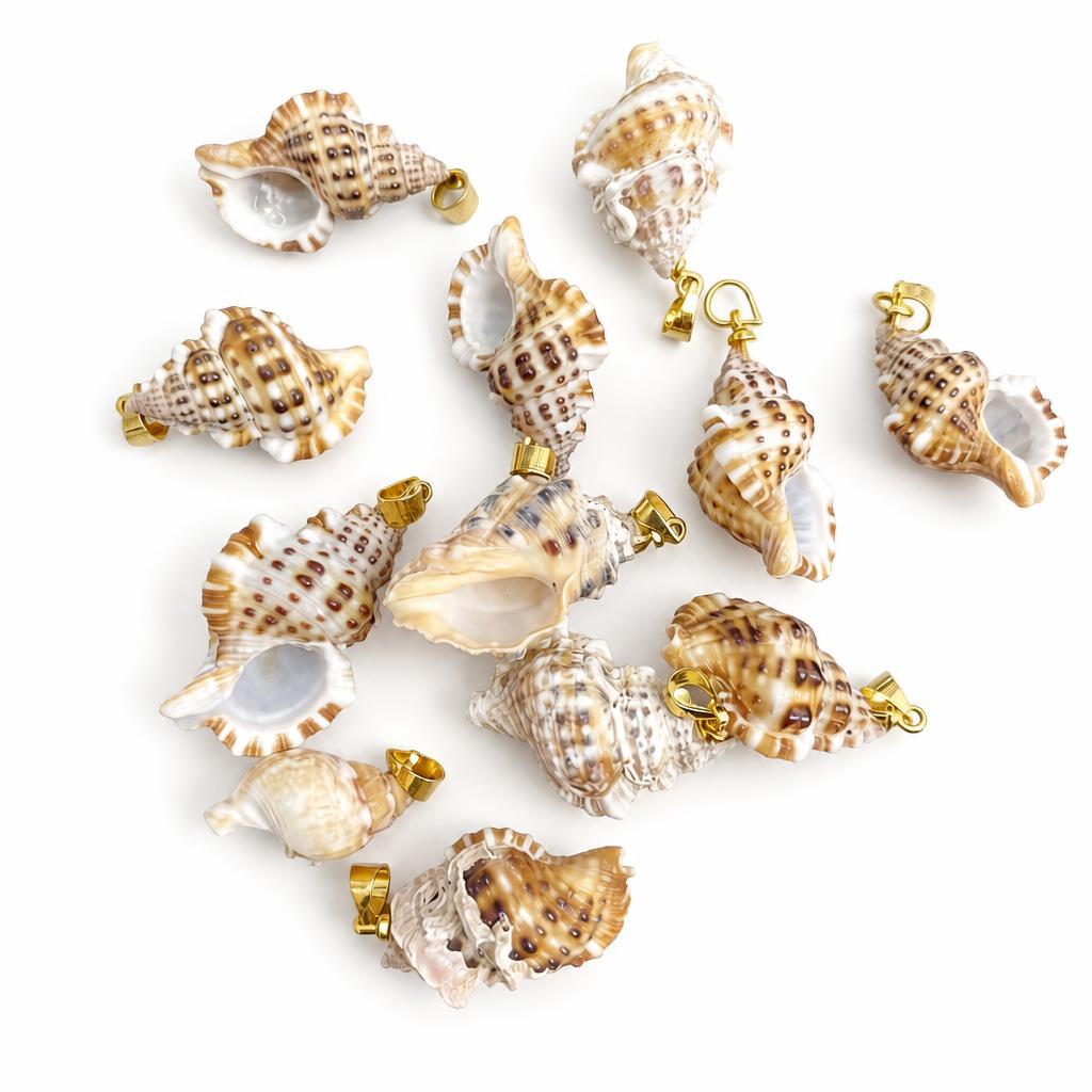 Ear snail-gold buckle