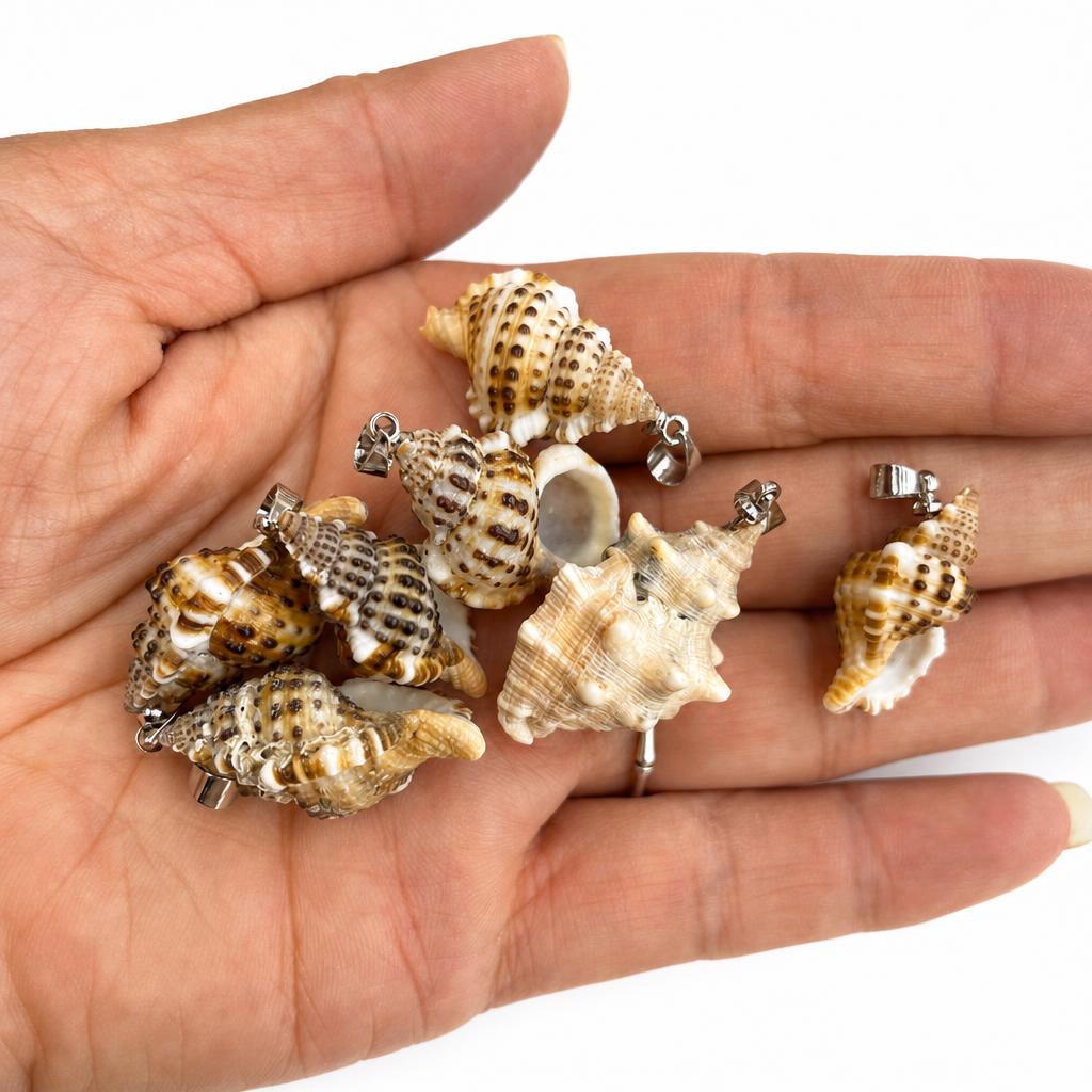 Ear snail-silver buckle