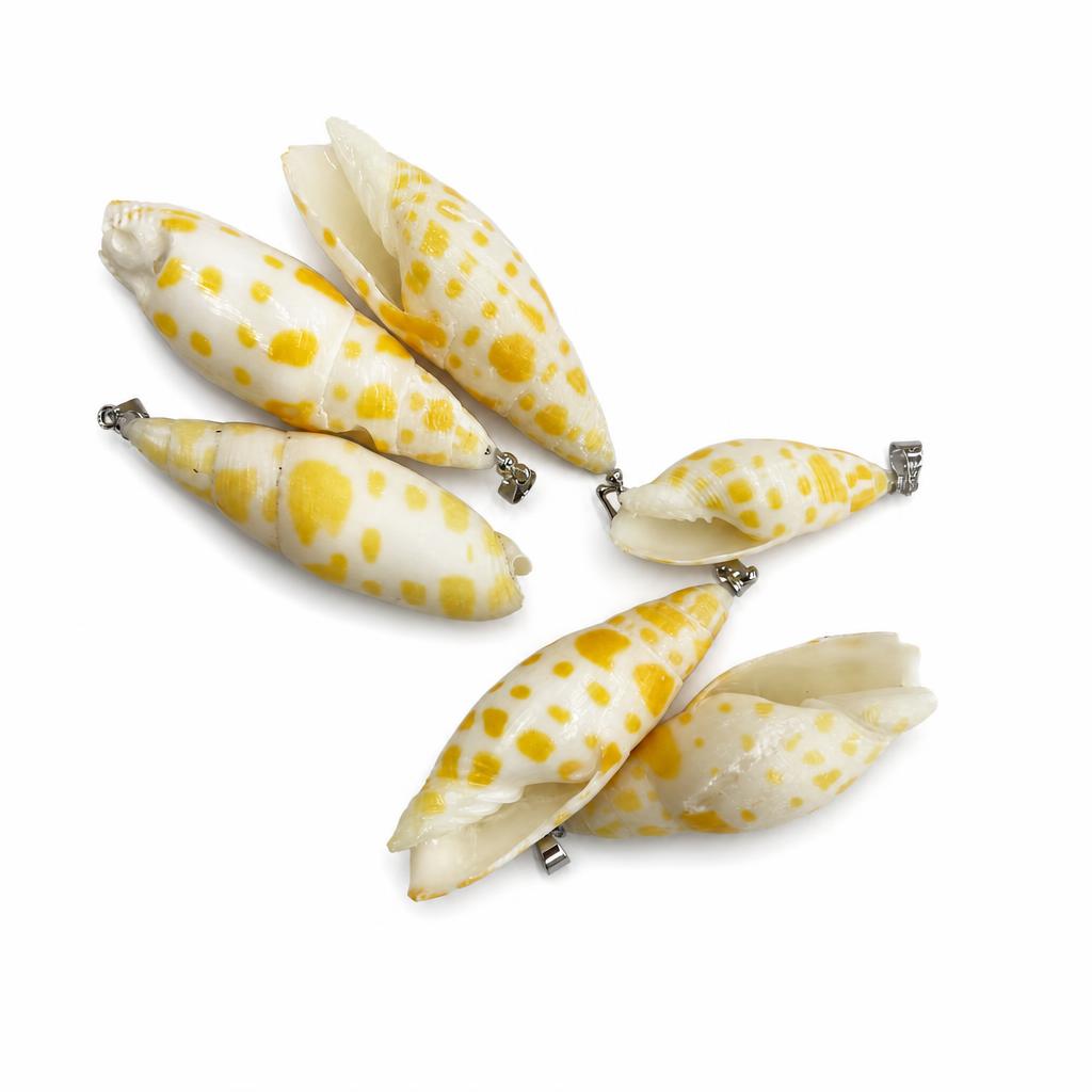 Pen snail-silver buckle