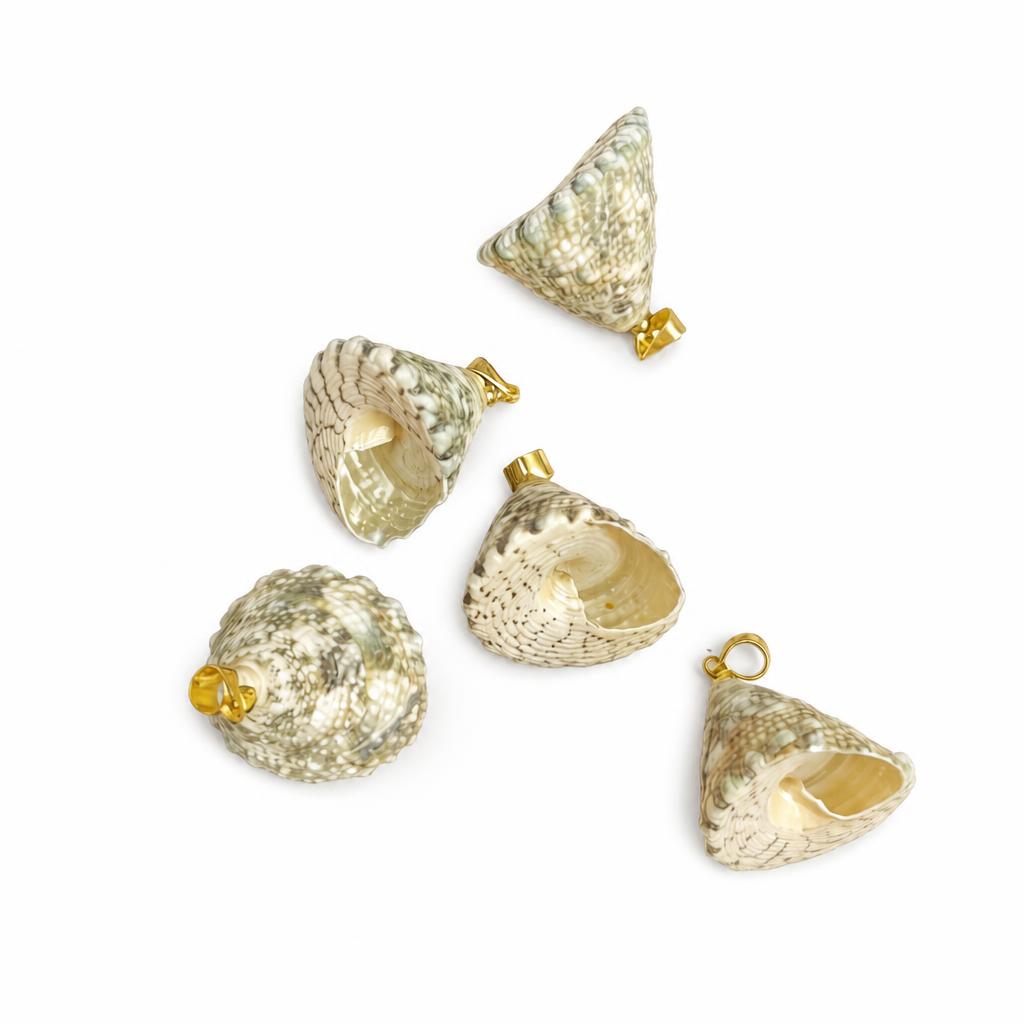 Top male tower snail-golden buckle