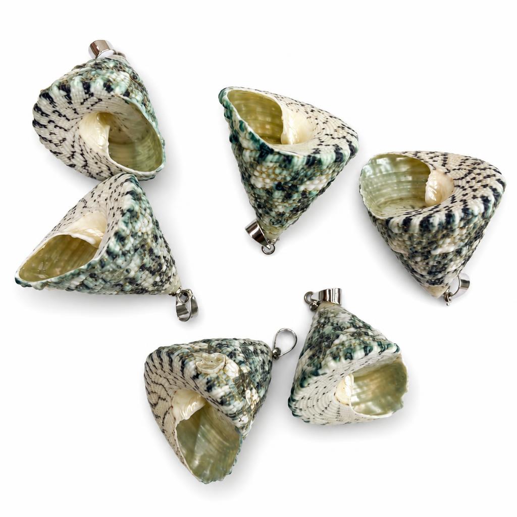Ding gongta snail-silver buckle