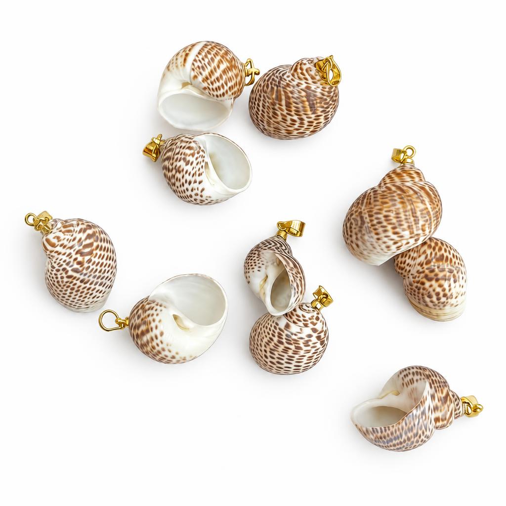 White spot snail-gold buckle