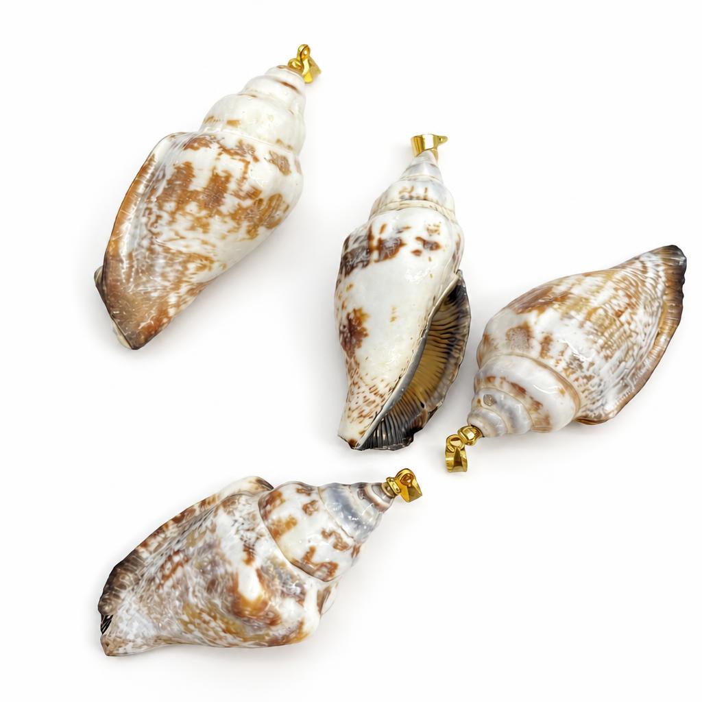 Black-mouthed snail-golden buckle